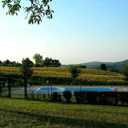 Santa Maria Del Gallo