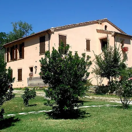 Santa Maria Del Gallo Apiro
