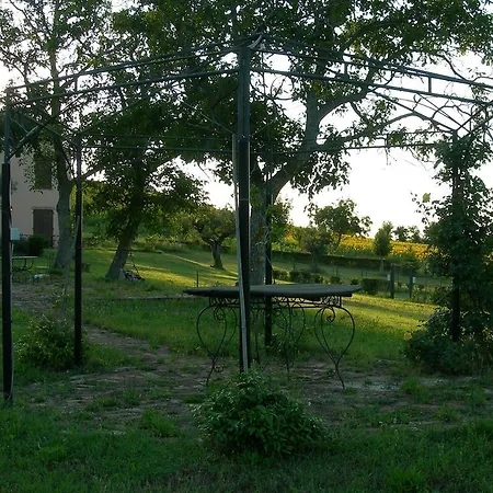 Santa Maria Del Gallo Apiro