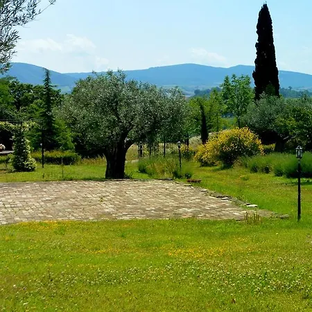 Santa Maria Del Gallo * Apiro